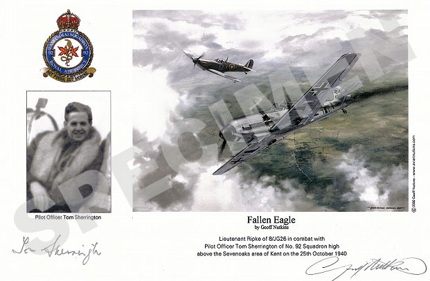 Pilot Officer Tom Sherrington : Fallen Eagle