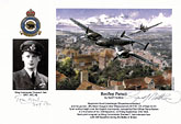 Wing Commander Thomas F.Neil - Rooftop Pursuit - Pilot Portrait print